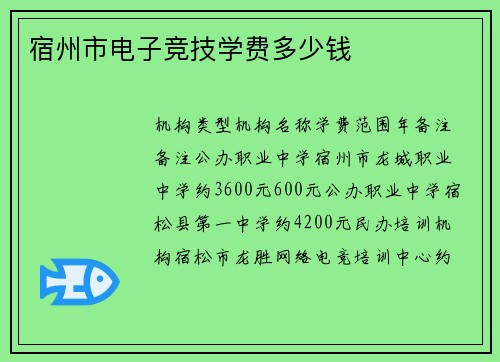 宿州市电子竞技学费多少钱